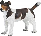Eigenschaften Safari / Jack Russel Terrier