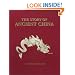 The Story of Ancient China