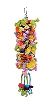 Prevue Pet Products 62606 Calypso Creations Club Bird Toy
