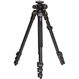 BENRO A-198EX Aluminum Flexpod EX