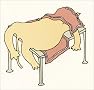 How to Massage Your Cat How to Massage Your Cat