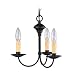 Liz Jordan Lighting 4453-04 Black Colony Mini Chandelier from the Colony Collection