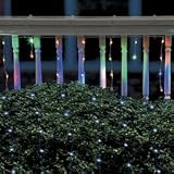 Color-Changing LED Net Lights