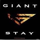 Stay (Picturedisc) [Vinyl Single]