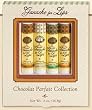 Ganache for Lips Chocolat Parfait Collection
