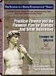 Practical Finance, Financing and the Financial Plan for Small Businesses: Systems for Success