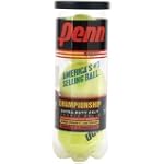 Penn Championship Extra-Duty Felt Ten...