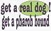 get a real dog! Get a pharoh hound 11 oz. White Mug