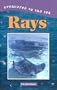 Creatures of the Sea - Rays