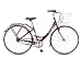 RALEIGH Caprice Ladies 19inch Bike