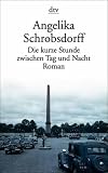 Die kurze Stunde zwischen Tag und Nacht: Roman - Angelika Schrobsdorff