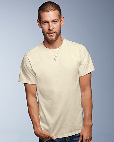 Anvil Men's Organic Cotton T-Shirt