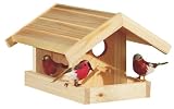 Futterhaus Meise