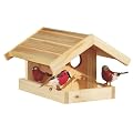 Futterhaus "Meise"