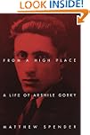 From a High Place: A Life of Arshile...