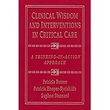 clinical wisdom and interventions in critical care a thinking in action approach