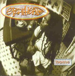 Produkt-Bild: Home [Vinyl LP]