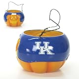 Kentucky Wildcats NCAA Halloween Pumpkin Candy Bucket (5.5)