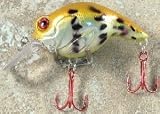 JLVLures Shallow Crankbait Cappuccino Frog : Diver Lures JLV Freshwater Smallmouth Steelhead Pike Salmon Trout Perch Whiper Mid Depth Walleye Casting Bass Hook Treble Red Boat Dock Brook Bay Little Stump River Trolling Weed Surface Topwater Shad