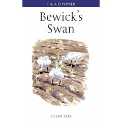 Bewick's Swan (Poyser Monographs)
