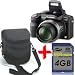 Panasonic FZ38 Digital Camera +4GB +Soft Case Bundle (Lumix DMC-FZ38 Black, 12MP 18xOptical Zoom 27mm Wide-Angle 2.7" LCD, Power OIS)
