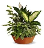 Serene Retreat Basket