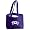 Texas Christian Horned Frogs