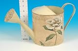 Review SGP  / Decorated Tin Watering Can Planter 18cm 2 Per Pack (534193)