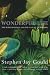 Wonderful Life