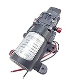 DC 12V 60W ウォーターポンプ ダイアフラム 電動 小型 高圧 圧縮タンク付き 自吸式 散水 洗車 外壁 床 洗浄 アウトドア (0142YA-12-60)