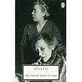 The Collected Stories (Penguin twentieth-century classics)