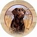 THIRSTYSTONE COASTER SET * CATS DOGS * KILLEN'S CHOCOLATE LAB BY JIM KILLEN