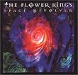 Space Revolver