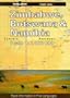 Lonely Planet Zimbabwe, Botswana and Namibia Travel Atlas