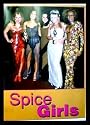 Spice Girls (Group w/ Awards) Black Wood-Mounted Music Poster Print - 24" X 36"