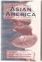 Reviewing Asian America: Locating Diversity (Association for Asian American Studies Series)
