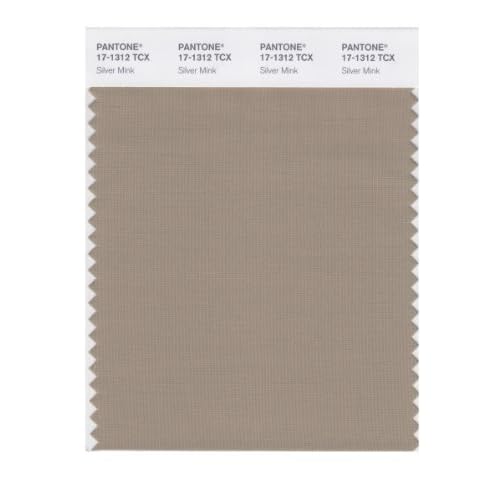 PANTONE SMART 171312X Color Swatch Card, Silver Mink House Paint