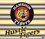 �n�b�X���E�^�C�K�[�X