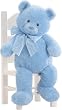 Gund Sweetkins Bear - Blue