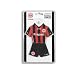 Eintracht Frankfurt MiNi-KiT Trikot / Autotrikot 2010/11