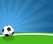 Westcott 847 5-foot x 6-foot Goal Scenic Background