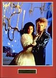 Review MYSTERIOUS WORLD MOUNTED264619 / Labyrinth High Quality Movie Mounted Photo Print