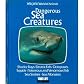 Dangerous Sea Creatures