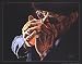 Blowin Blues PREMIUM GRADE Rolled CANVAS Art Print Steven Johnson 28x22
