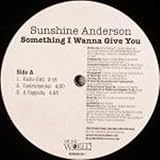 Sunshine Anderson - Something I Wanna Give You - [12"]