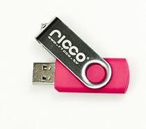 Ricco 4GB USB 2.0 High Speed Metal SWIVEL FLASH MEMORY DRIVE DISK STICK PEN UK PINK Support Windows and MacOS - Great For Gift