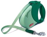 Flexi Expression 1 Small/Medium, 44lbs, Mint Green/Green, 16ft.
