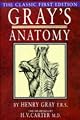 Gray's Anatomy
