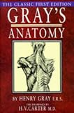 Gray's Anatomy