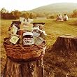 Volpi Antipasto Gift Box